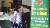 Tạm giữ giám đốc phòng khám cấp khống giấy khám sức khỏe
