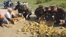 Công an Quảng Bình với các hoạt động nghĩa tình hướng về cơ sở