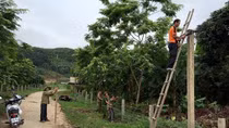 Việc bình dị nơi “khi ta đi đất bỗng hóa tâm hồn”