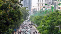 Hà Nội xin cơ chế đặc thù trồng 600.000 cây xanh không qua đấu thầu