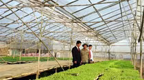 Agribank tái cơ cấu thành công, chất lượng tín dụng tăng