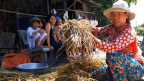 Đồng bằng sông Cửu Long thiệt hại nông nghiệp do lũ đến sớm