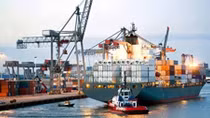 Đến 2025, tỷ trọng đóng góp của dịch vụ logistics vào GDP đạt 5-6%