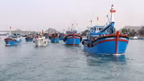 Không có quy định cấm “tàu 67” ra khơi khi chưa mua bảo hiểm!