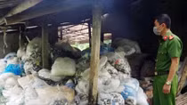 Ngăn chặn 13,5 tấn rác găng tay y tế chuẩn bị "tái chế"