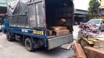 Gặp CSGT, lái xe nữ chở gỗ hương lậu xin “bỏ qua”