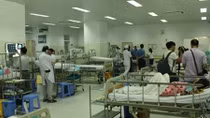 Thông tin mới nhất về vụ cây đổ làm học sinh tử vong