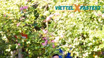 Viettel Fastest 2020 - giải Việt dã quyên góp ủng hộ “Trái tim cho em”