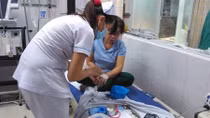 53 người bị ngộ độc thực phẩm của Công ty Theodore Alexander đã xuất viện