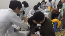 Dừng lấy mẫu xét nghiệm Elisa chẩn đoán sán dây lợn ở Bắc Ninh