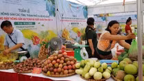 Khai mạc Tuần hàng trái cây, nông sản các tỉnh, thành phố 