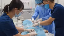 Kịp thời cấp cứu bé trai 5 tuổi bị viêm cơ tim