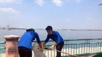 Thanh niên Thủ đô tham gia làm sạch Hồ Tây 
