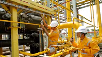 VEA kiến nghị tháo gỡ khó khăn cho PVN