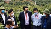 Chuẩn bị ba kịch bản xuất khẩu và tiêu thụ vải thiều