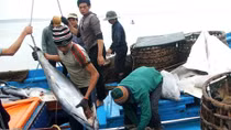 Các cơ sở chăn nuôi đang chuẩn bị nguồn hàng phục vụ dịp lễ, tết cuối năm 
