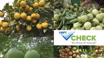 Phát triển những ứng dụng công nghệ xây dựng nền nông nghiệp thông minh 
