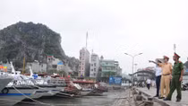 Quảng Ninh: Cấm biển từ 8h ngày 18-10, vận động tàu thuyền về nơi tránh trú bão