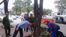 Thêm nhiều trường hợp “tiểu bậy” và xả rác bừa bãi bị phạt