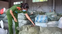 5 container chứa thảo dược nhập lậu vào cảng Đà Nẵng 