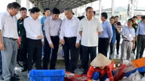 Phó Thủ tướng Trịnh Đình Dũng kiểm tra việc thực hiện chống khai thác IUU
