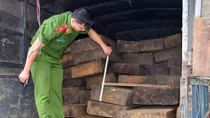 Dùng ôtô “hết đát” chở 46 phách gỗ lậu