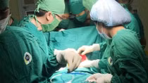 Cứu nam thanh niên bị lưỡi cưa văng trúng bụng, ruột trào ra ngoài