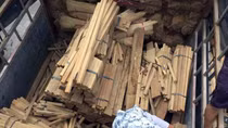 Gỗ lậu giấu trong xe tải chở vầu 