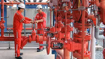 Khả năng sinh lời cao của cổ phiếu NT2