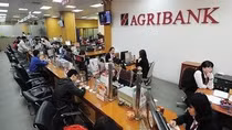 Gần 1,7 triệu tỷ đồng cho vay nông nghiệp, vốn Agribank chiếm 50%