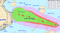 Chủ động ứng phó bão PHANFONE