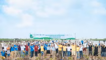 GM Việt Nam chung tay bảo vệ rừng ngập mặn