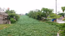 Phát hiện thi thể nam giới xăm dòng chữ “Thương cho một số phận”