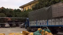 Thu giữ gần 2,3 tấn xương động vật hôi thối chuẩn bị thành... cao đặc sản