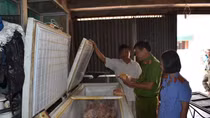 Lập biên bản, xử lý cơ sở giết mổ cung cấp thịt gà 