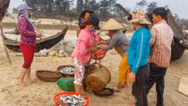 Ngư dân Lý Sơn “trúng đậm” cá ở ngư trường Hoàng Sa và Trường Sa