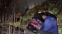 Cảnh màn trời chiếu đất trong giá lạnh của người bán hoa tết ở Đà Nẵng