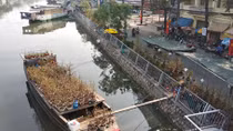 Đìu hiu chợ hoa Tết Bến Bình Đông