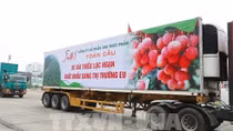 Ưu tiên lưu thông đối với các phương tiện chở vải thiều Bắc Giang