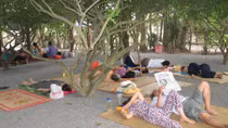 Thực hư "Khu vườn kỳ lạ" ở Long An có tác dụng chữa bệnh?