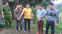 Rủ nhau bắt trộm 5 con trâu 