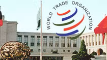 WTO và bài toán cải tổ