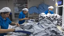 Ngành xuất nhập khẩu hàng hóa tìm hướng đi mới