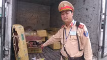 Ô tô giả xe thư báo để chở gỗ trắc lậu