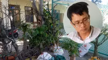 Phá “kỳ án” trộm hàng loạt cây mai cảnh của dân