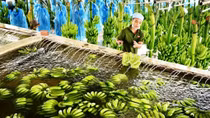 Tìm thị trường xuất khẩu mới cho chuối quả