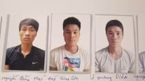 Phá ổ nhóm chuyên trộm cắp gỗ sưa đình, chùa