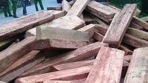 Bị phát hiện, tài xế xe ben đổ hơn 8m3 gỗ lậu xuống đường