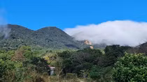 Xuân về bên chân đèo Sa Mù