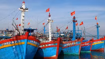 Gian nan đòi tiền bảo hiểm tàu cá
